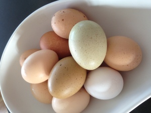 färgglada ägg
